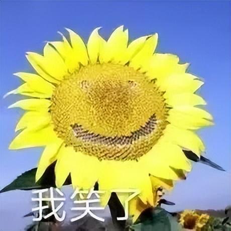 V女装走光的他是真疯了还是向家缺钱了PG麻将胡了向佐怎么癫成这样？穿深(图2)