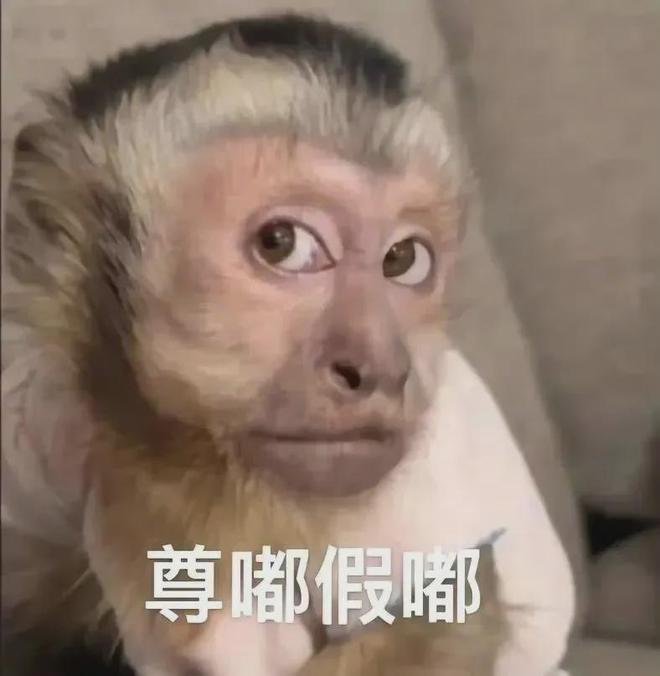 V女装走光的他是真疯了还是向家缺钱了PG麻将胡了向佐怎么癫成这样？穿深(图13)