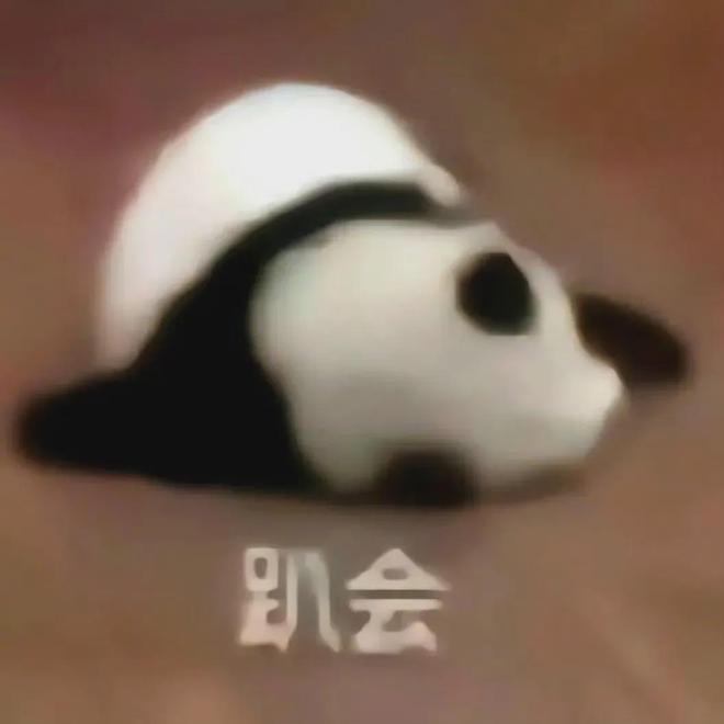 V女装走光的他是真疯了还是向家缺钱了PG麻将胡了向佐怎么癫成这样？穿深(图15)