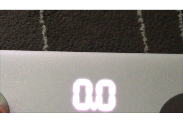 秤对比谁才是减肥路上第一伴侣？麻将胡了app有品、小米体脂(图5)