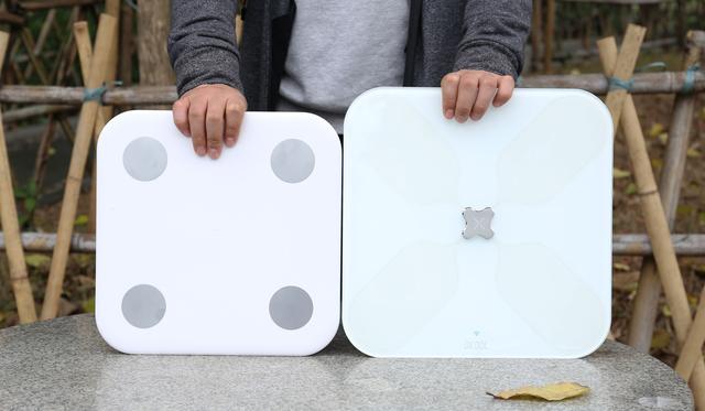 秤对比谁才是减肥路上第一伴侣？麻将胡了app有品、小米体脂(图21)